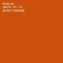 #C9510C - Burnt Orange Color Image